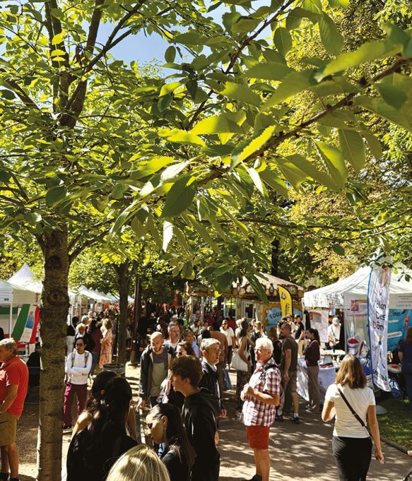 Forum des associations rassemblant des habitants et des stands sous les arbres dans un parc, lors d’un événement associatif en plein air.